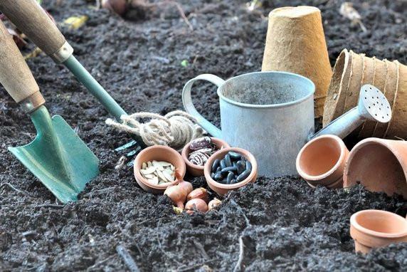 Graines de troc, une nouvelle façon de s'échanger graines et savoir ...