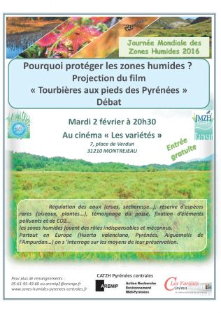 affiche_projection_debat_ _fevrier.jpg