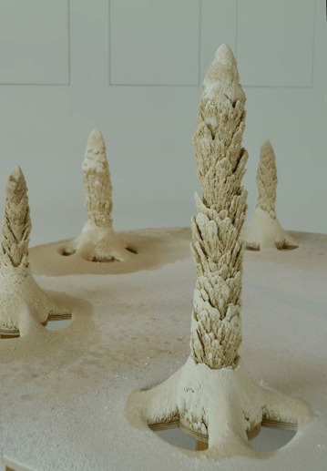 Photo de Musée-Forum de l'Aurignacien.