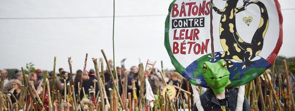 Afficher l'image d'origine