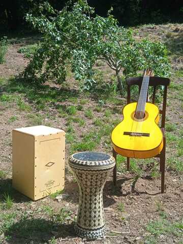 flamenco