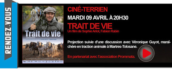CINÃ‰-TERRIEN