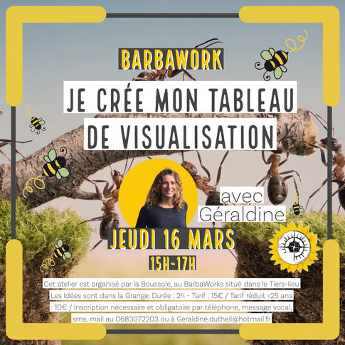 barbaworks tableau visualisation