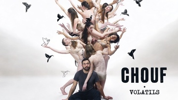 Afficher l'image d'origine