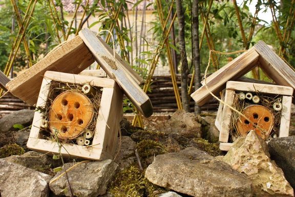 RÃ©sultat de recherche d'images pour "hotel Ã  insecte bonnefont"