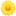 🌼