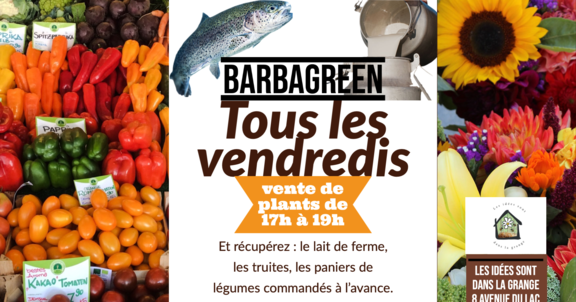 Barbagreen et truites