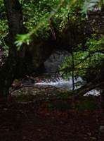 Arboretum de Joueou