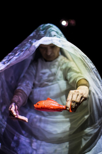 Photographie du spectacle et le titre